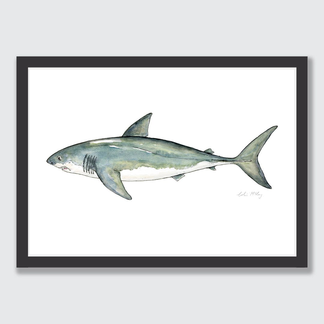 'Susie' Great White Shark Art Print by Colin McKay
