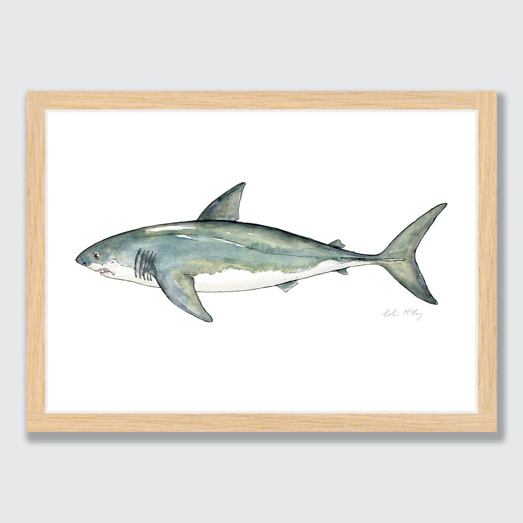&#39;Susie&#39; Great White Shark Art Print by Colin McKay