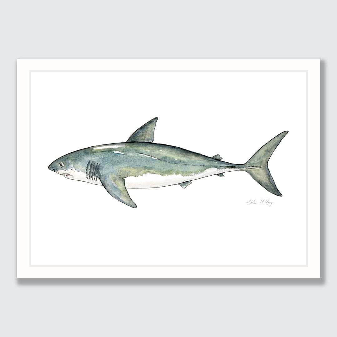 &#39;Susie&#39; Great White Shark Art Print by Colin McKay
