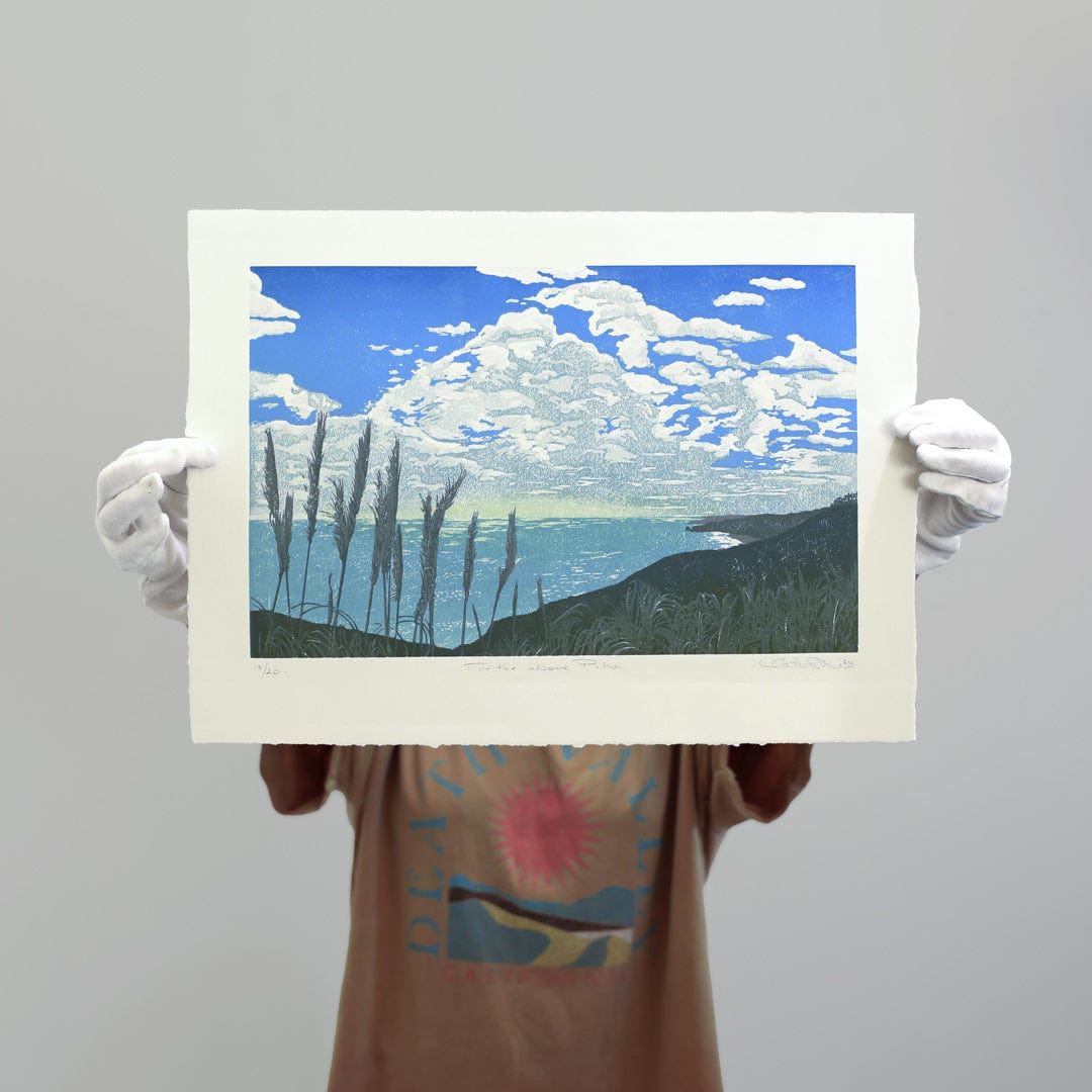 Toe Toe above Piha Linocut Reduction Print by Kate Steiner