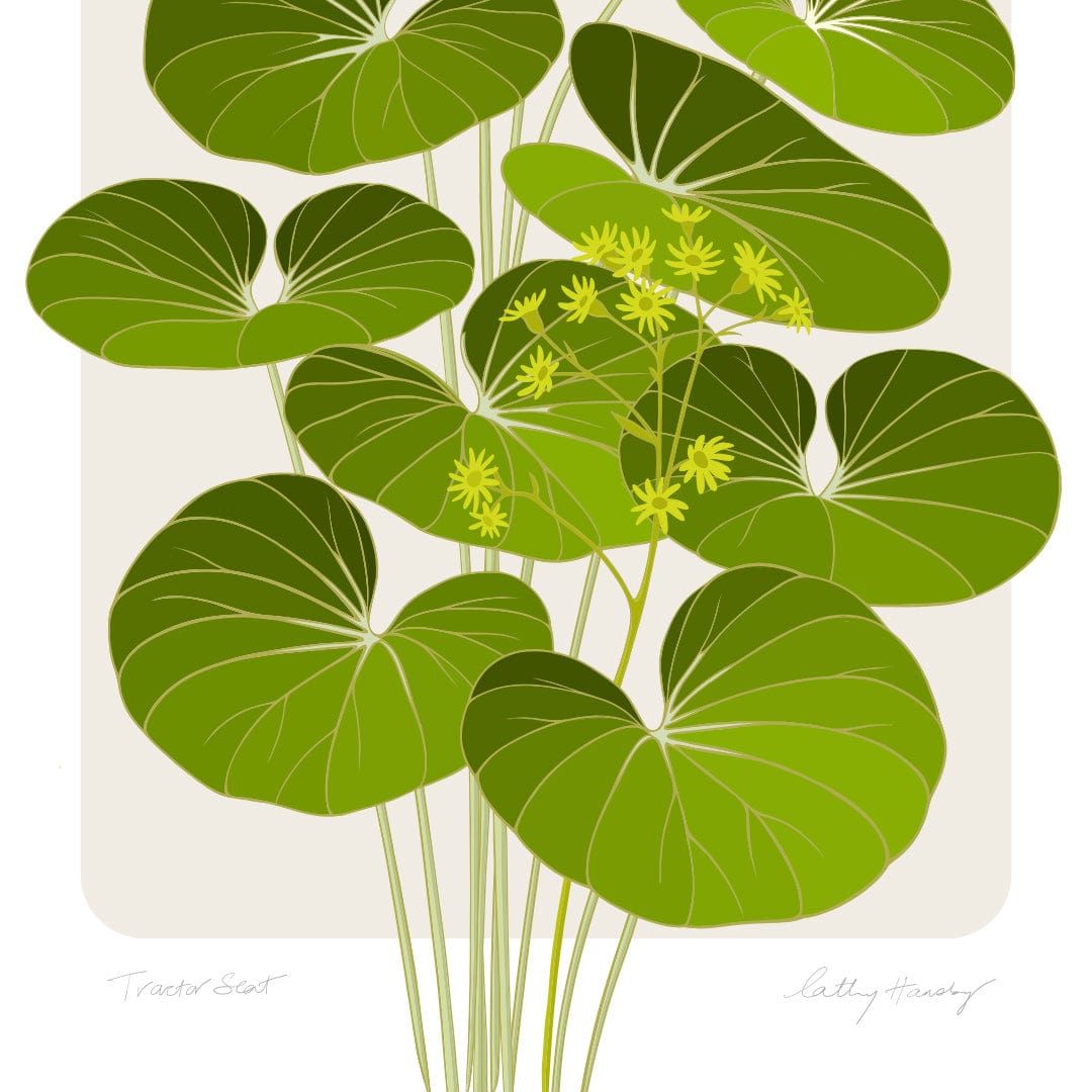 Tractor Seat Plant Art Print by Cathy Hansby