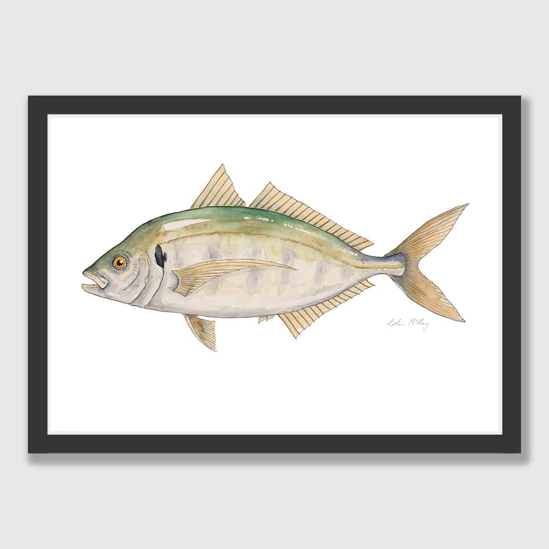 'Trevor' Trevally Art Print by Colin McKay