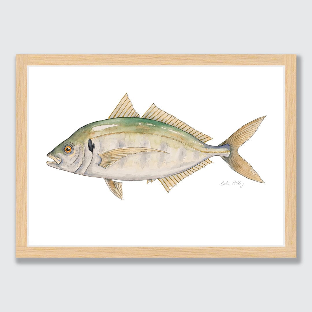 'Trevor' Trevally Art Print by Colin McKay