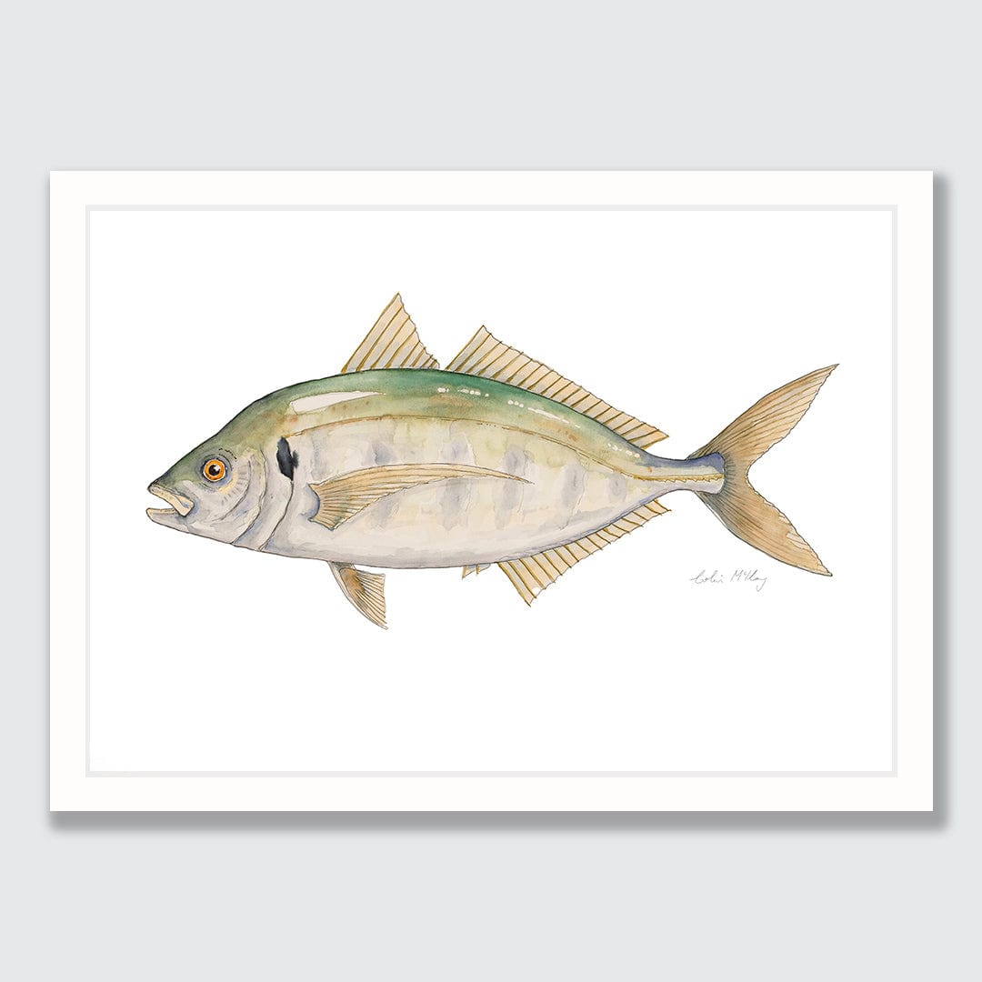 'Trevor' Trevally Art Print by Colin McKay