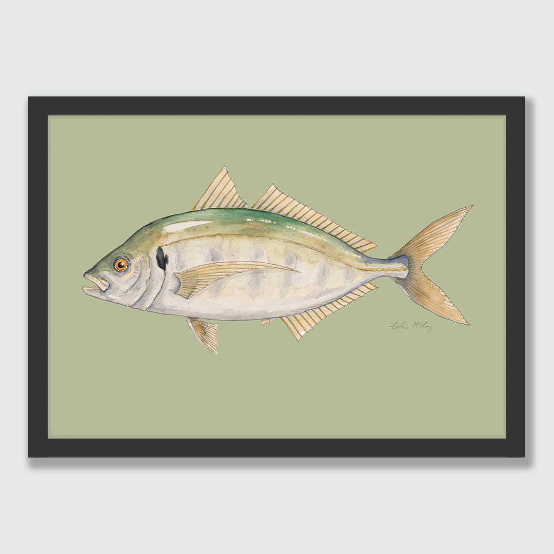 'Trevor' Trevally (Olive background) Art Print by Colin McKay