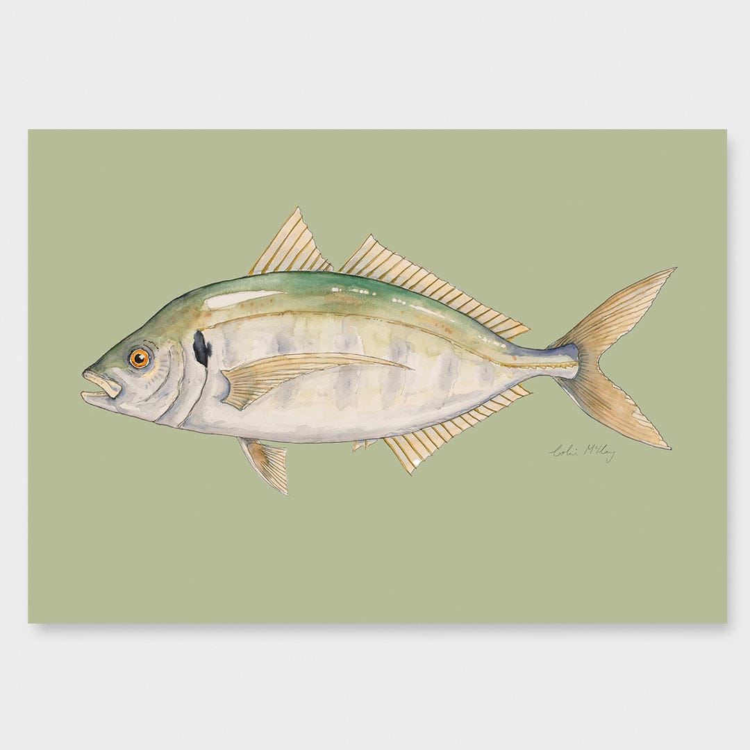 'Trevor' Trevally (Olive background) Art Print by Colin McKay