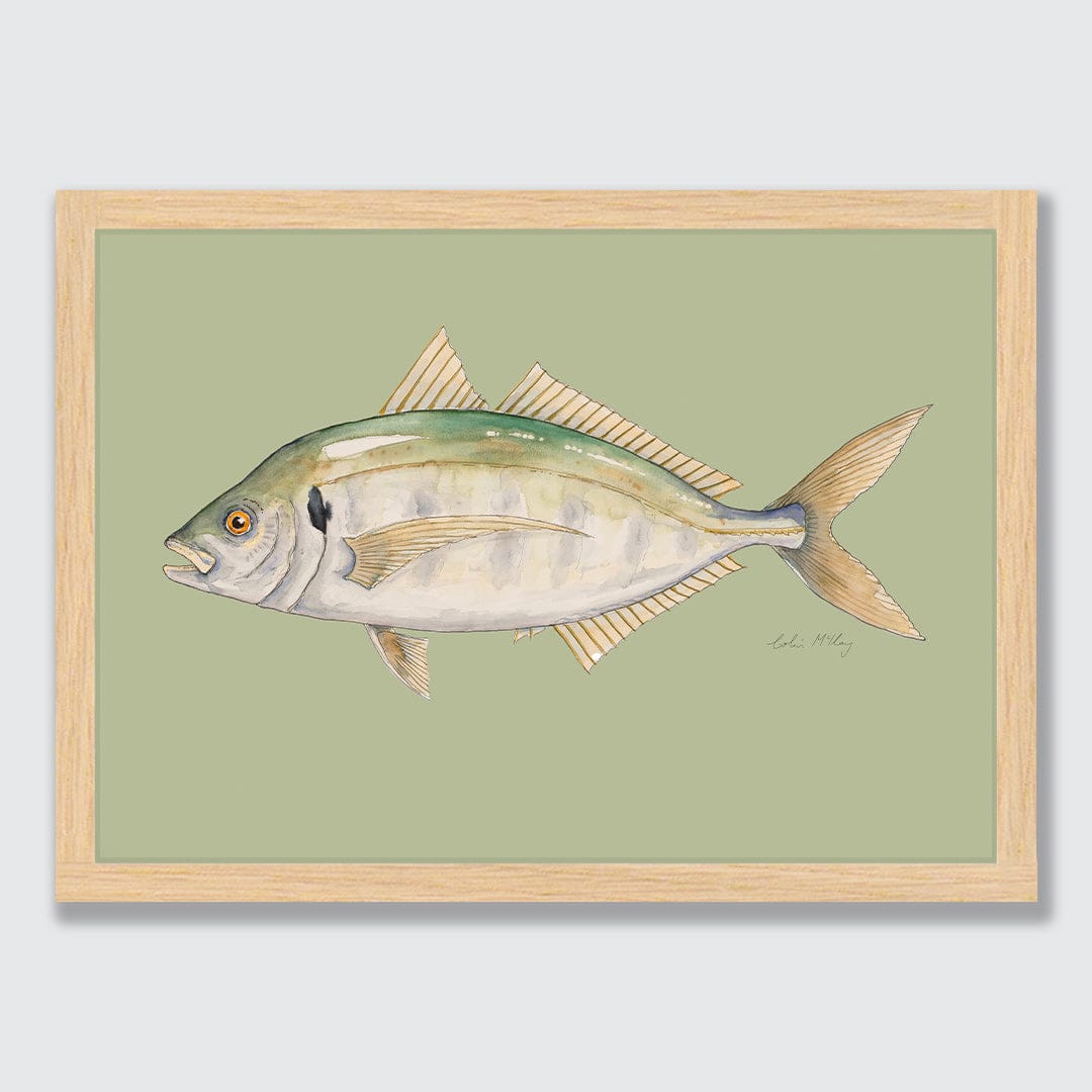 'Trevor' Trevally (Olive background) Art Print by Colin McKay