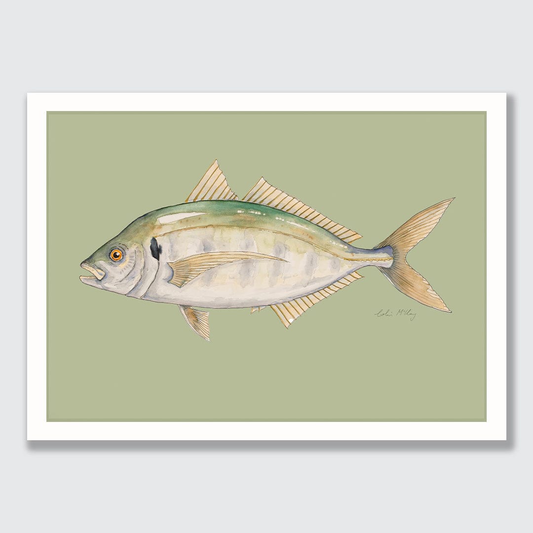 'Trevor' Trevally (Olive background) Art Print by Colin McKay