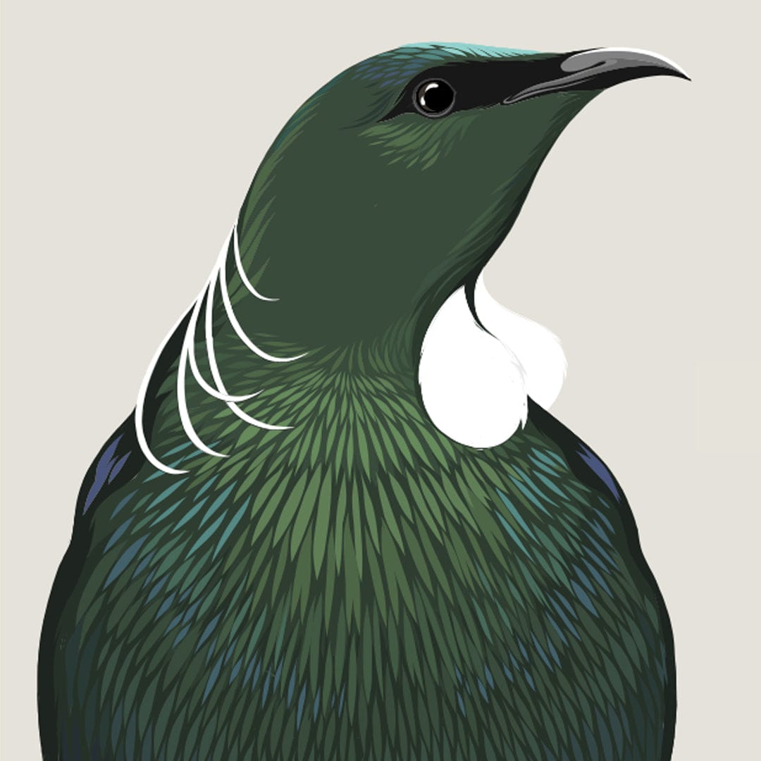 Tūī Art Print by Cathy Hansby