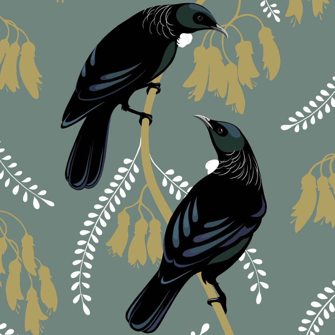 Tui Pair Teal Art Print by Cathy Hansby