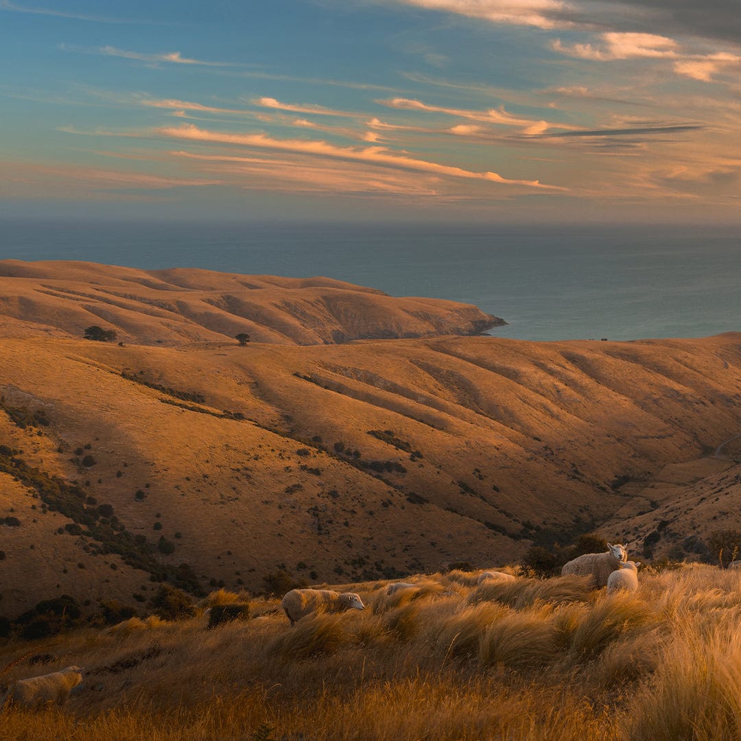 Tumbledown - Te Oka Photographic Print by Mike Mackinven