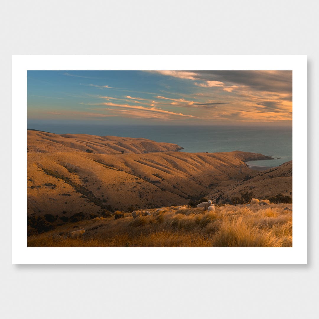 Tumbledown - Te Oka Photographic Print by Mike Mackinven