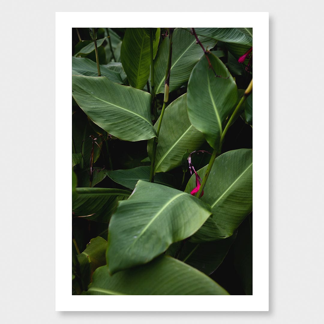 Verdant Photographic Art Print by Charlotte Clements