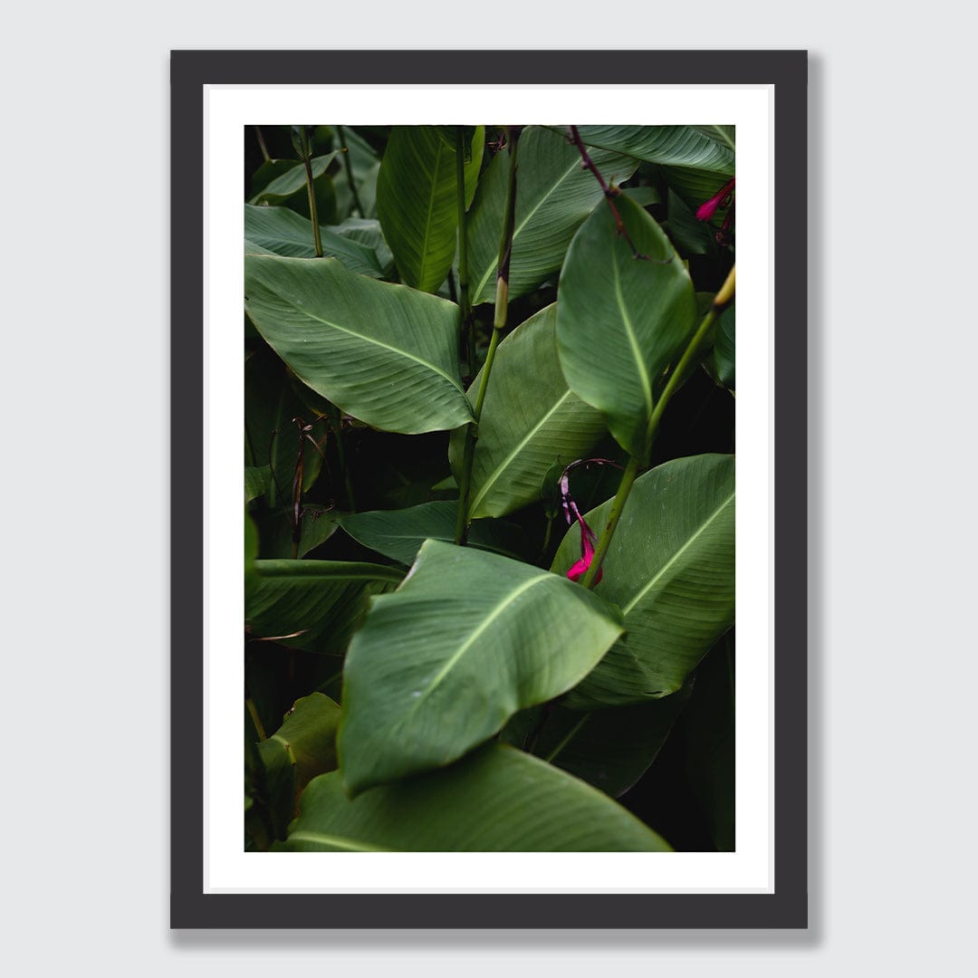 Verdant Photographic Art Print by Charlotte Clements