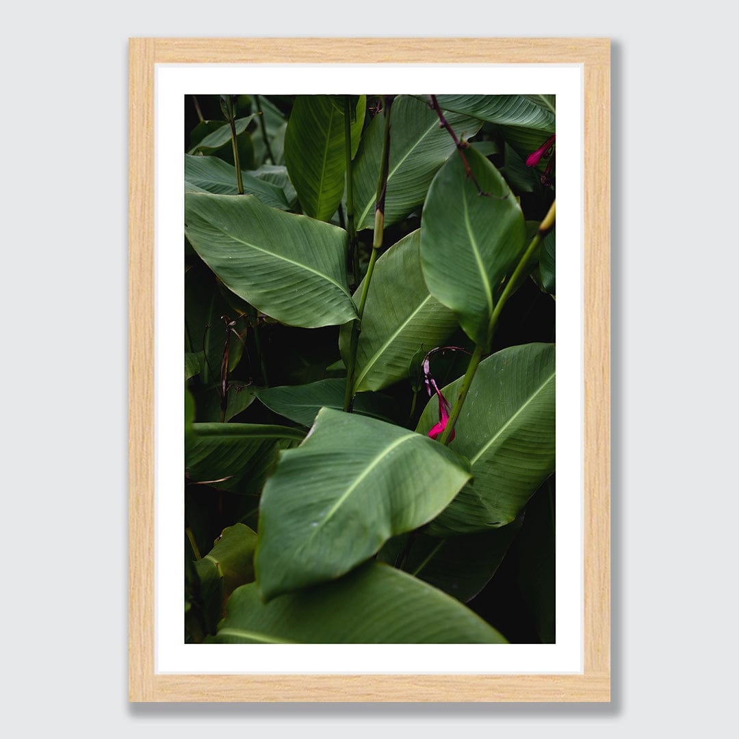 Verdant Photographic Art Print by Charlotte Clements