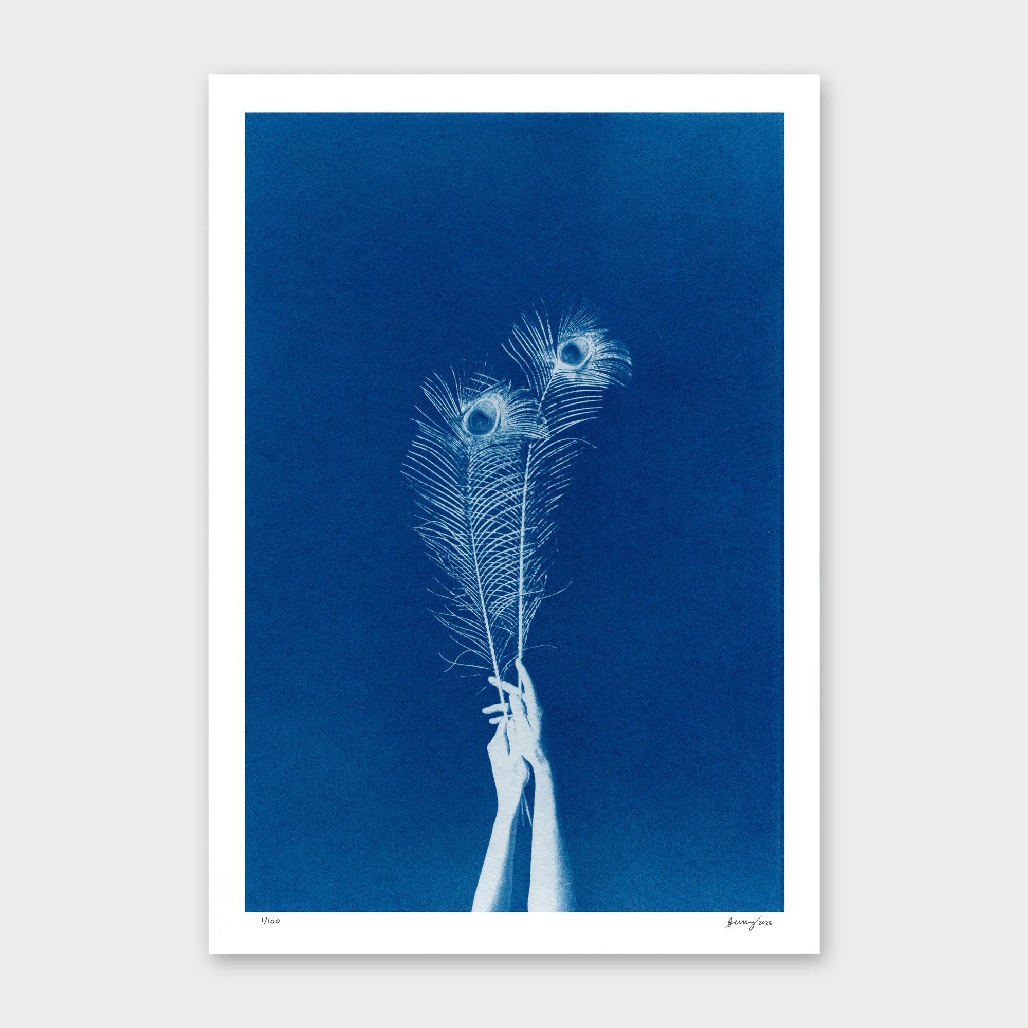 Chiaroscuro Feathers 02 Limited Edition Cyanotype by Sophia Jenny