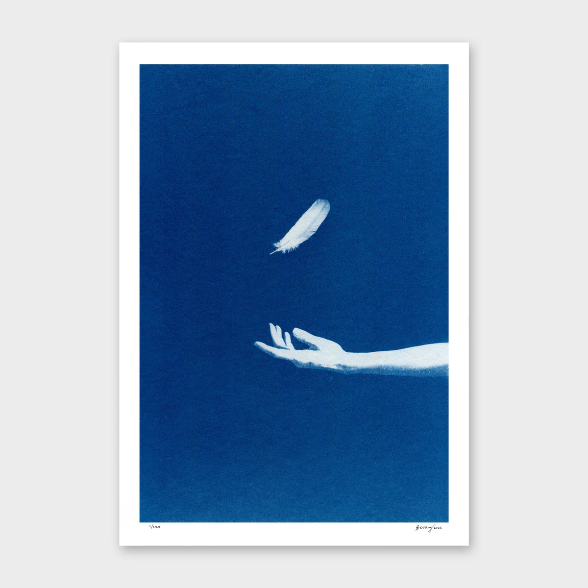 Chiaroscuro Feathers 03 Limited Edition Cyanotype by Sophia Jenny