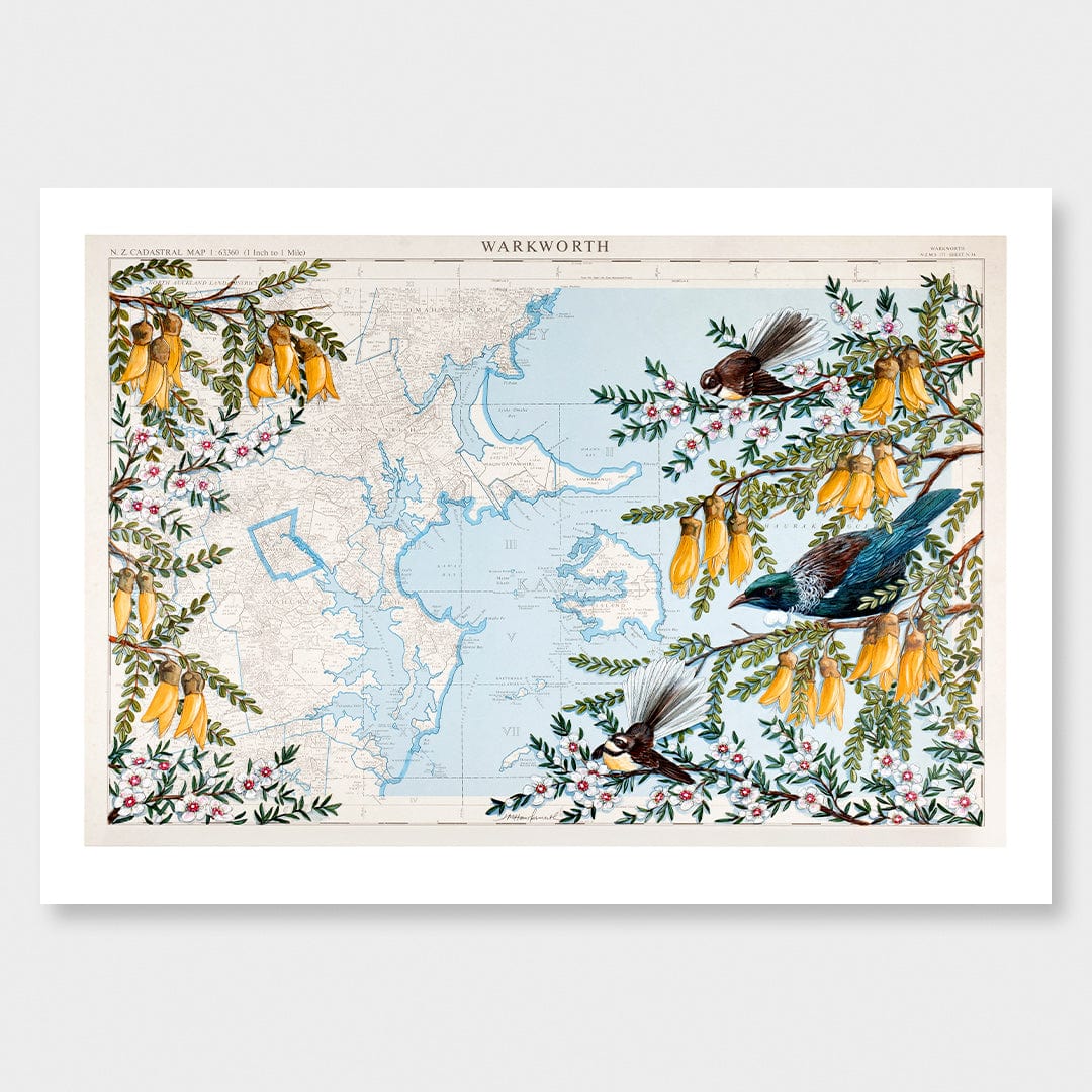 Warkworth Kowhai Limited Edition Art Print by Justine Hawksworth