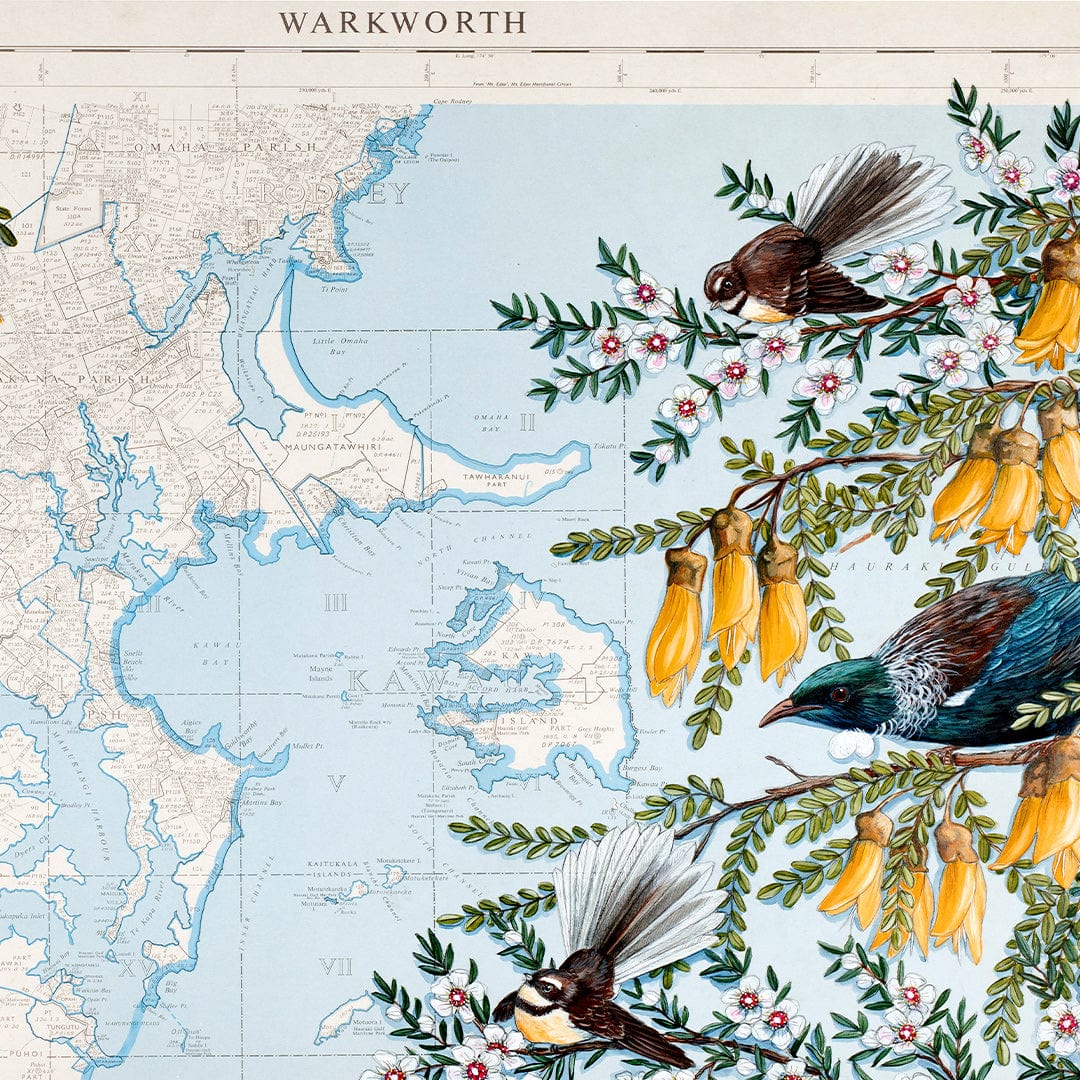 Warkworth Kowhai Limited Edition Art Print by Justine Hawksworth