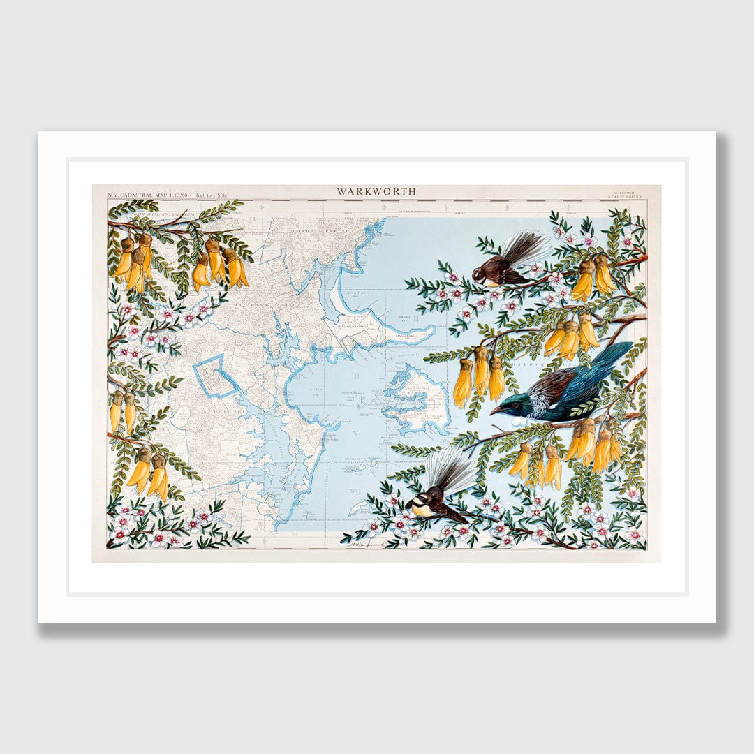Warkworth Kowhai Limited Edition Art Print by Justine Hawksworth