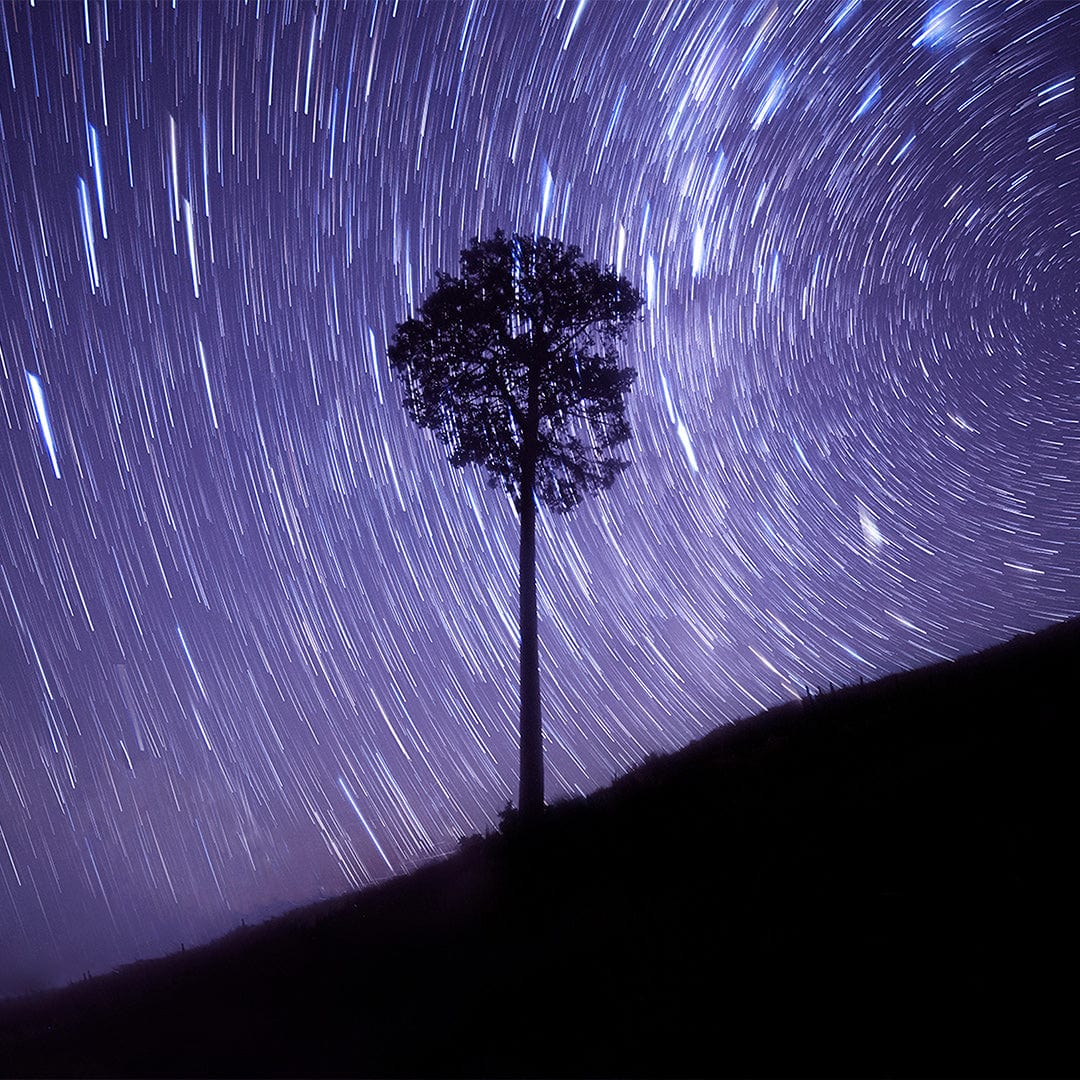 Watching The World Turn Photographic Print by Jeremy Cole