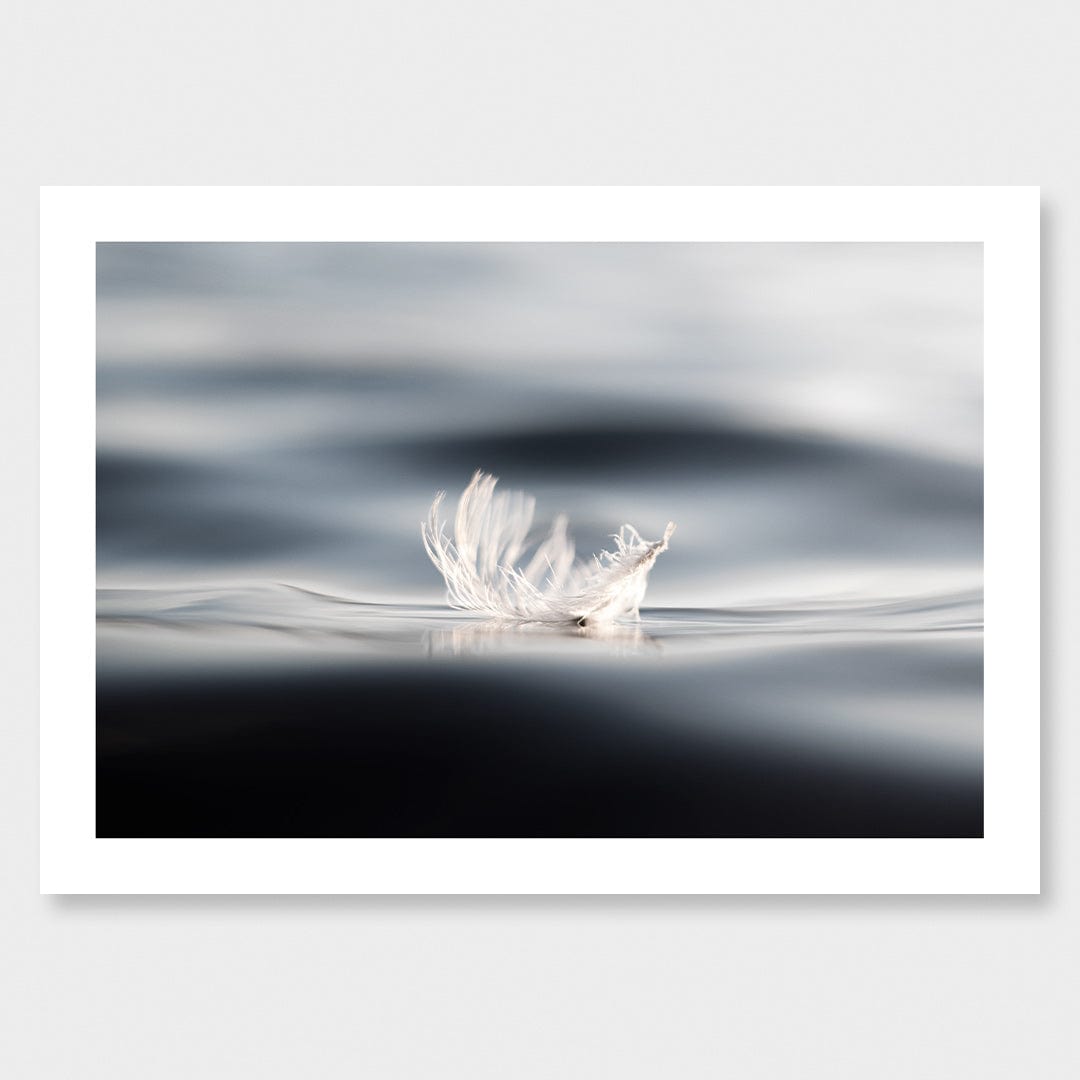 Weightless Photographic Print by Crystal May