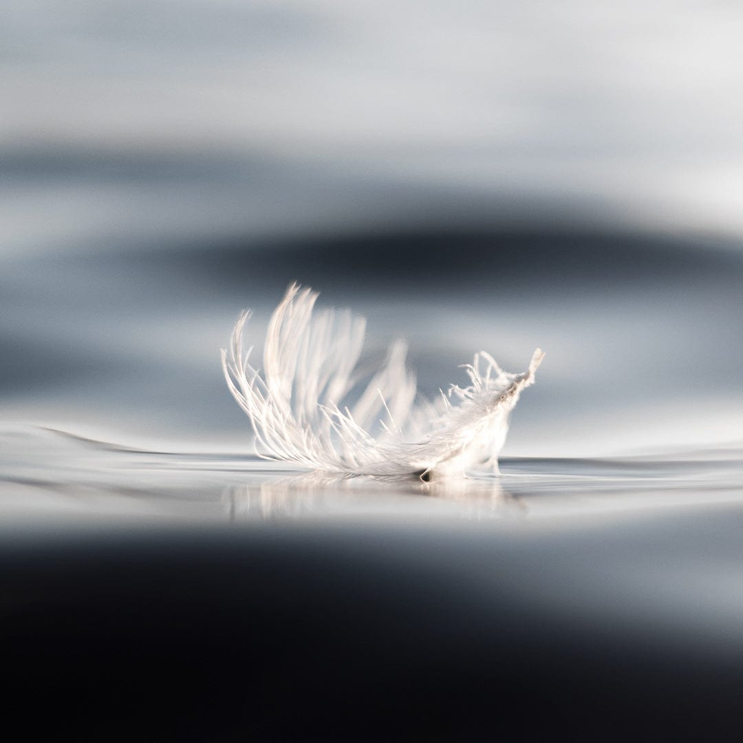 Weightless Photographic Print by Crystal May