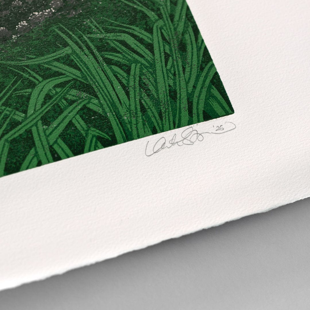 West Coast, Waitakere Ranges Linocut Reduction Print by Kate Steiner