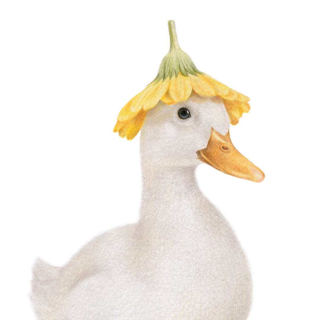 White Duck with Flower Hat Art Print by Olivia Bezett