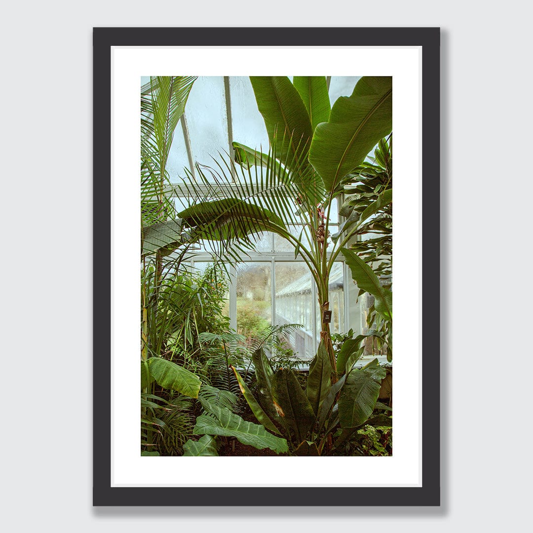 Winter Garden Photographic Print by Amy Wybrow