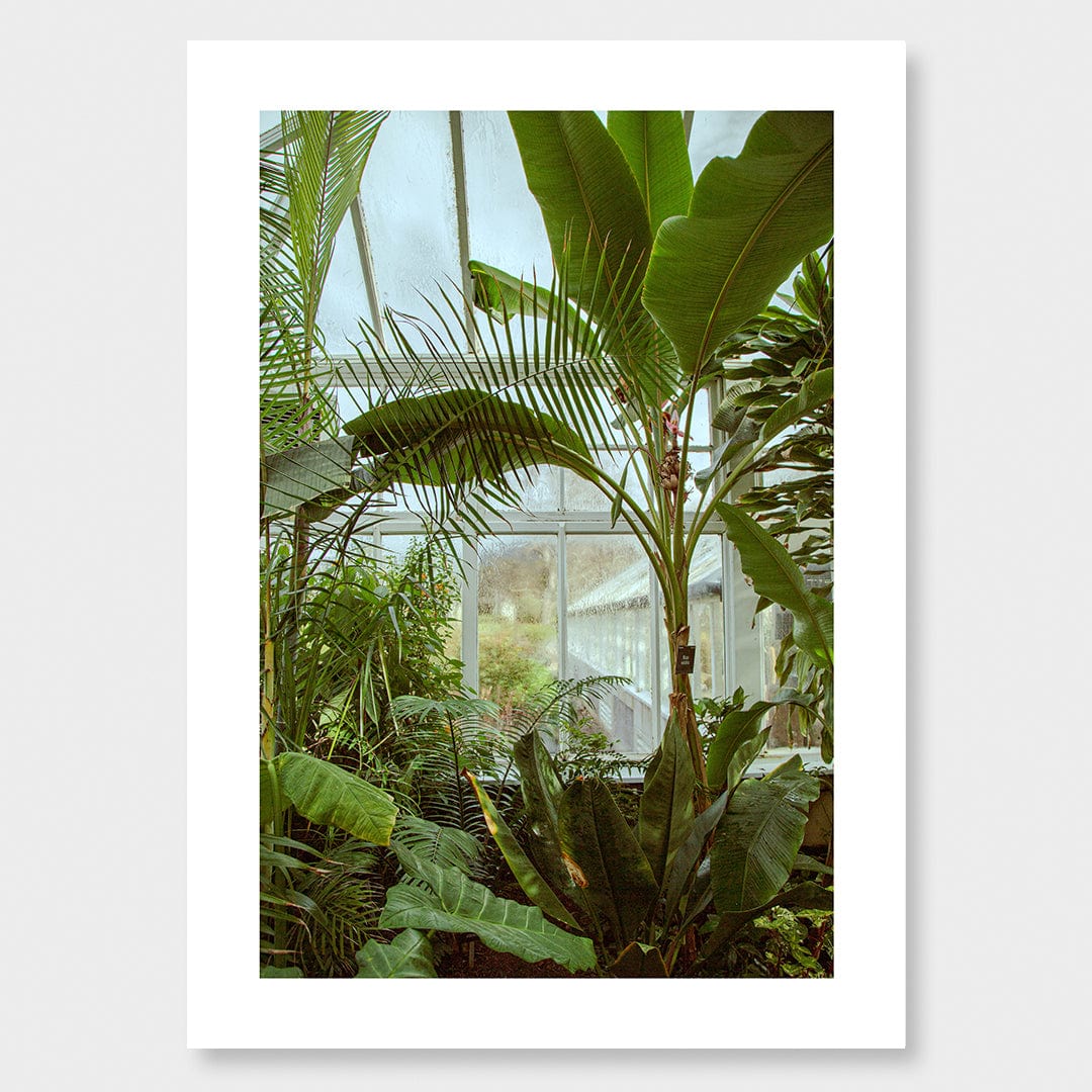 Winter Garden Photographic Print by Amy Wybrow