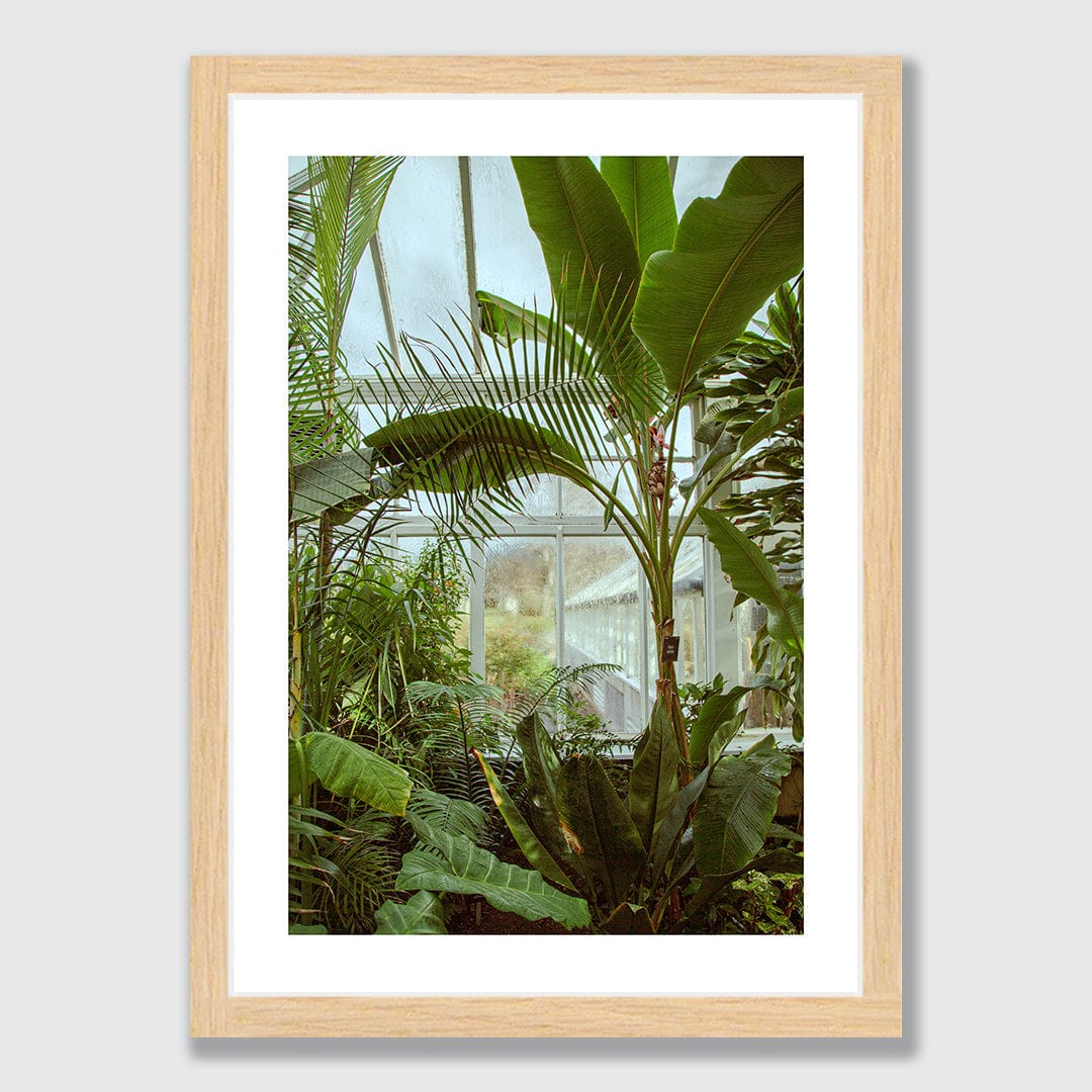 Winter Garden Photographic Print by Amy Wybrow