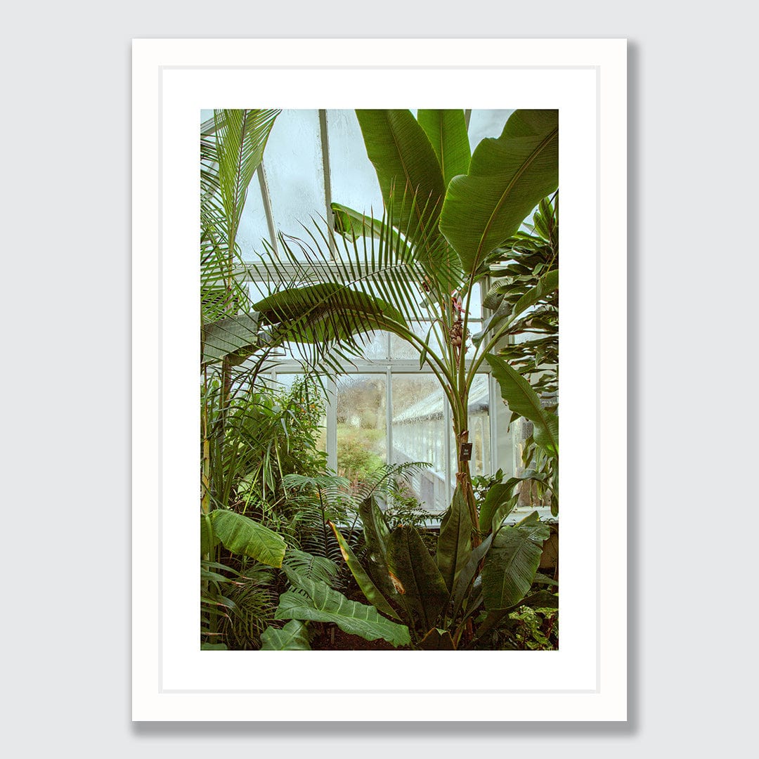 Winter Garden Photographic Print by Amy Wybrow