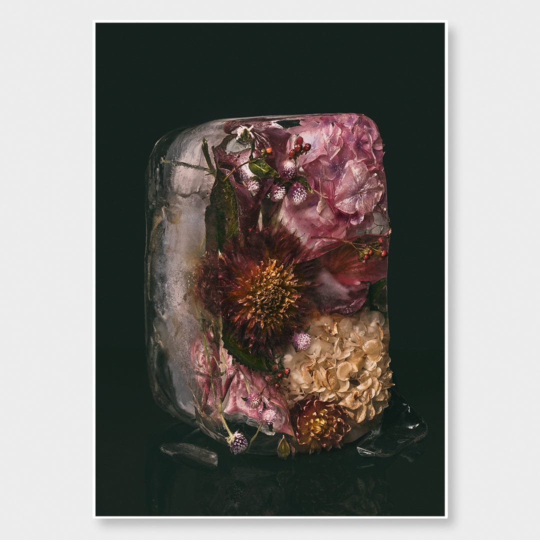 Ice Flower XXV Photographic Print by Maegan McDowell