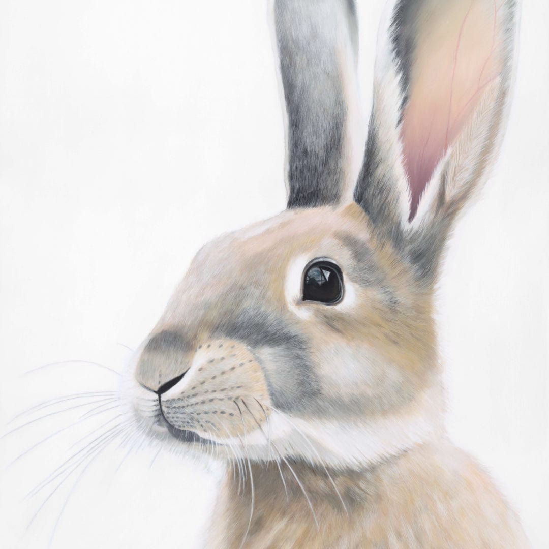 Ambrose Rabbit Art Print by Margaret Petchell
