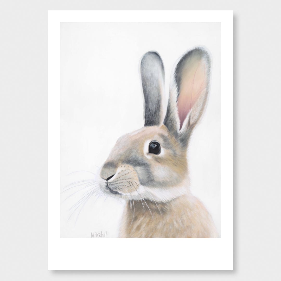 Ambrose Rabbit Art Print by Margaret Petchell