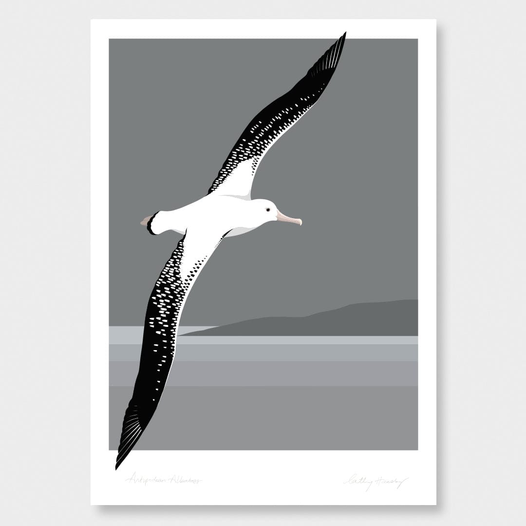 Antipodean Albatross - Toroa Art Print by Cathy Hansby