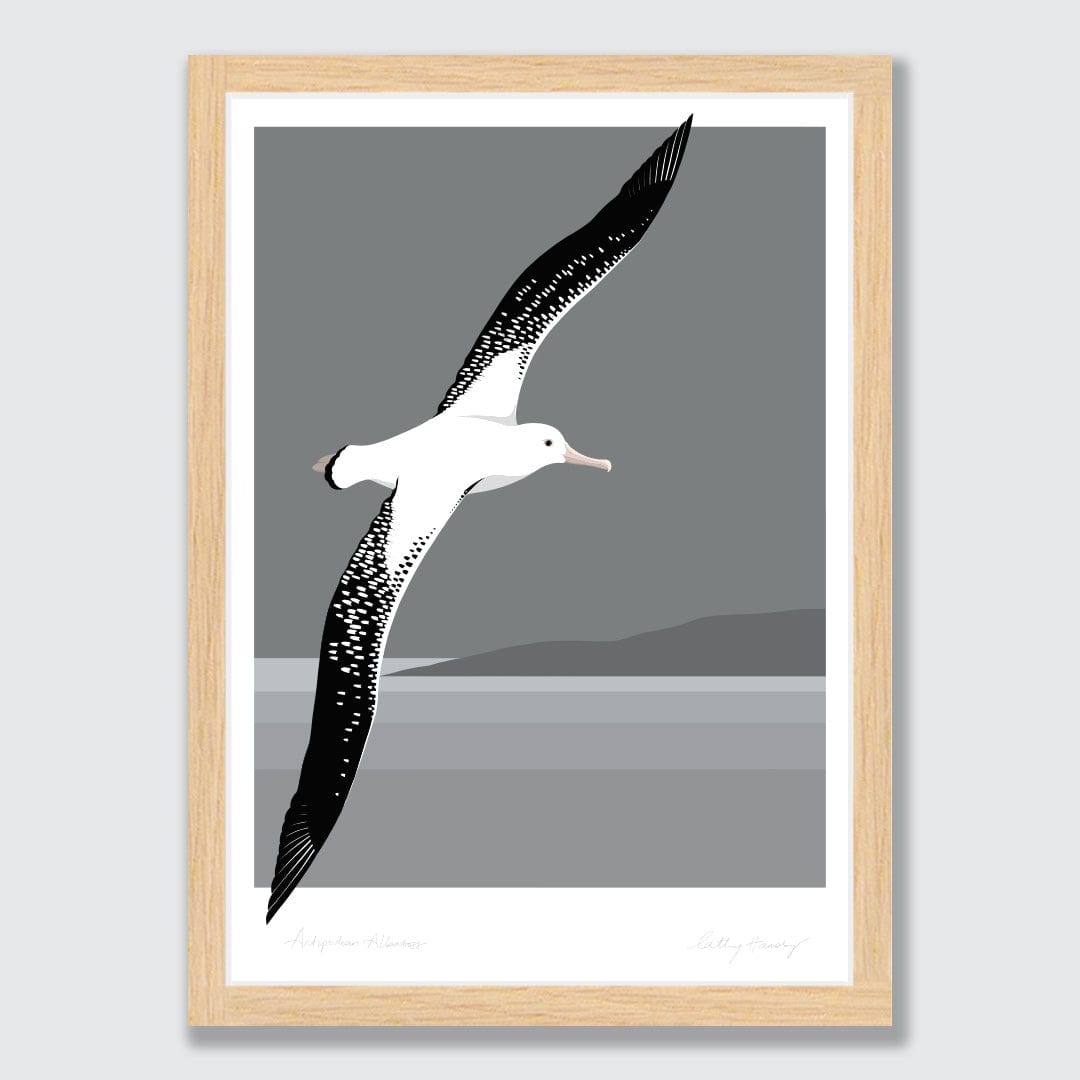 Antipodean Albatross - Toroa Art Print by Cathy Hansby