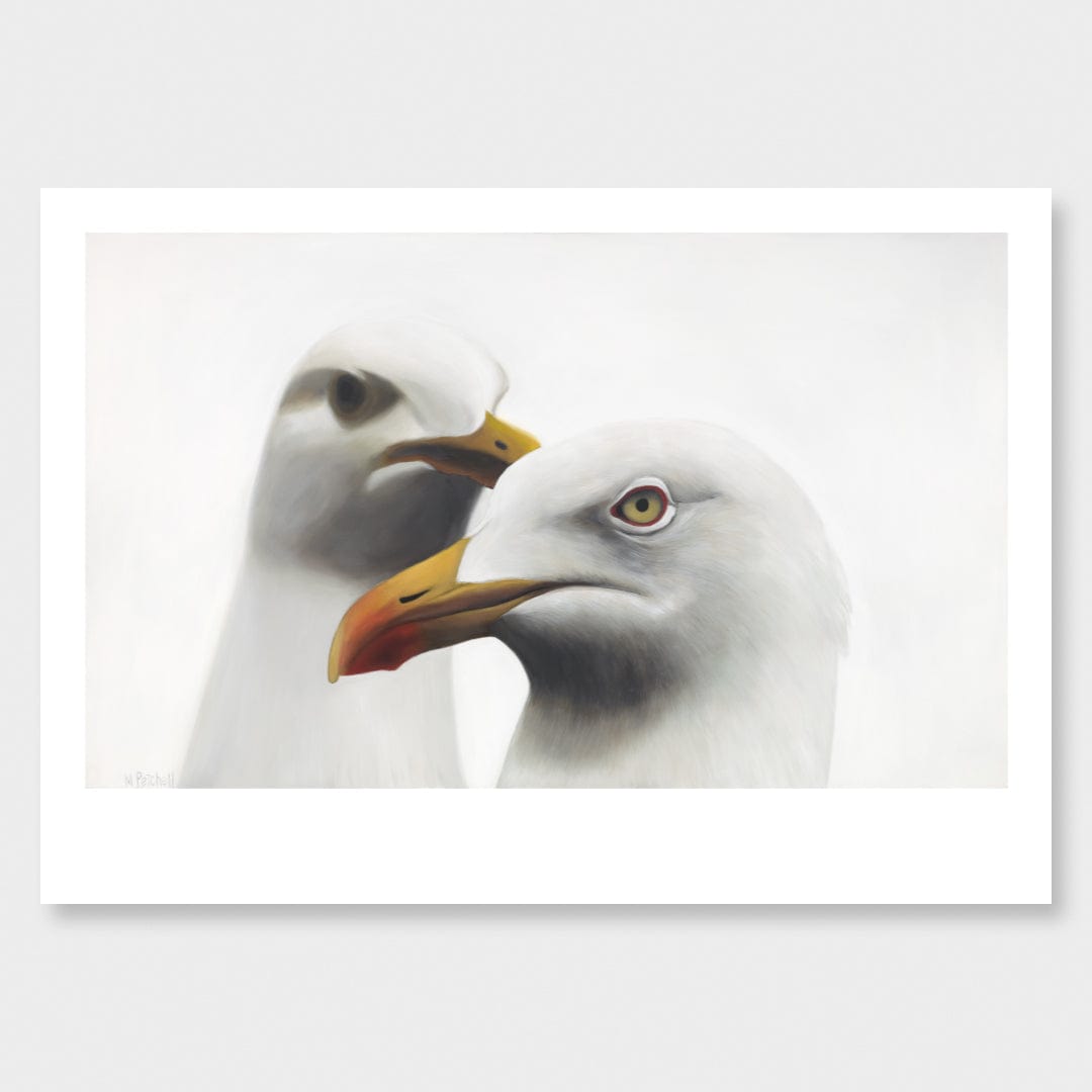 Barrett & Lorenzo Seagull Art Print by Margaret Petchell