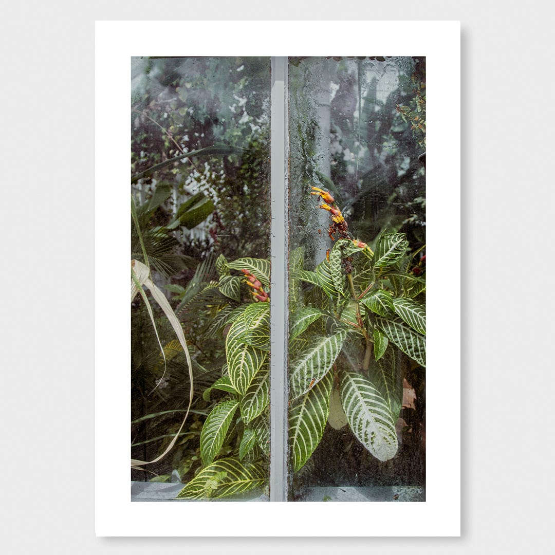 Behind The Glass Photographic Print by Amy Wybrow