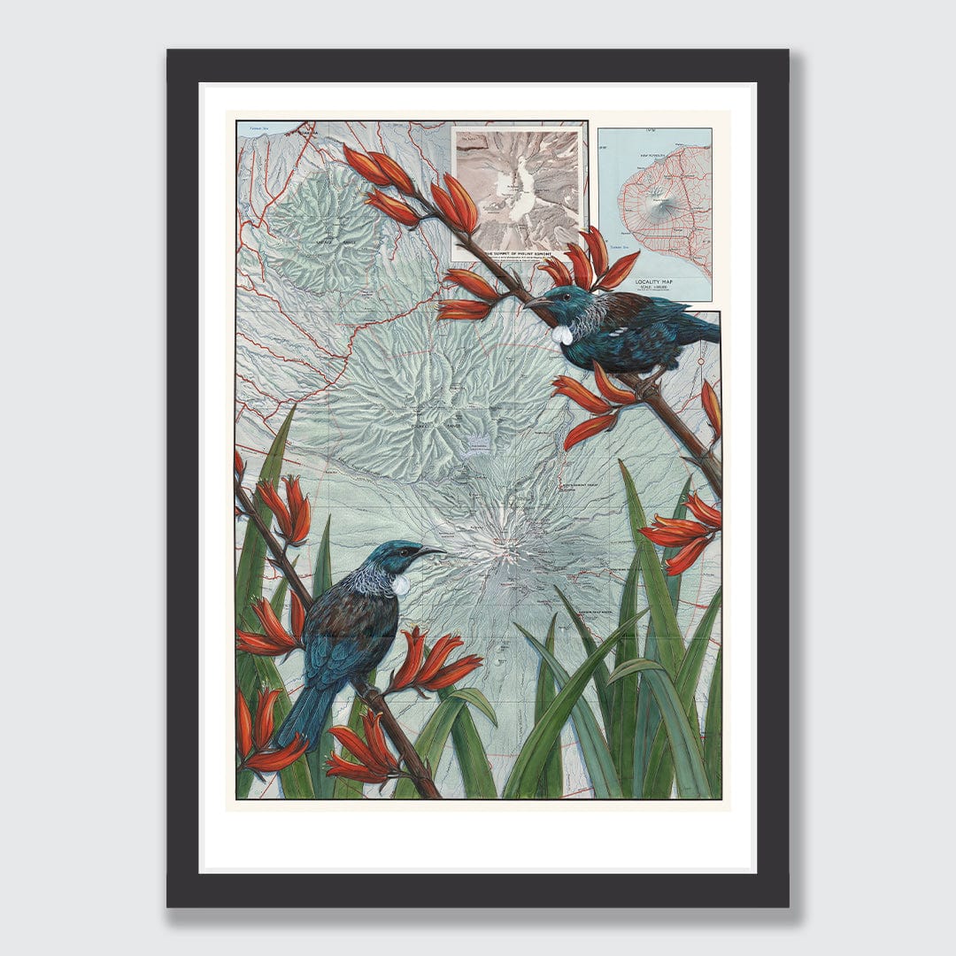 Taranaki Summit Art Print by Justine Hawksworth