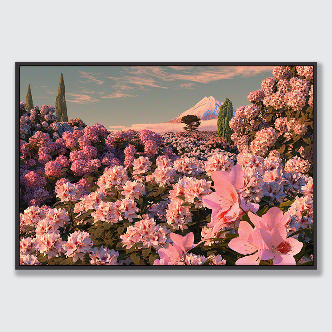 Rhododendron Dawn Limited Edition Canvas Print by Simon Stockley