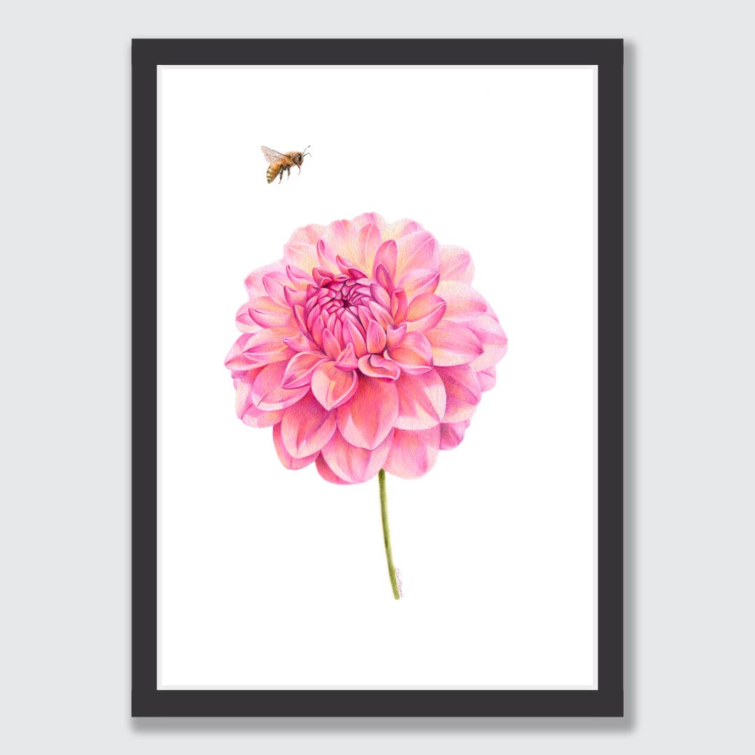 Dahlia and Bee Art Print by Olivia Bezet