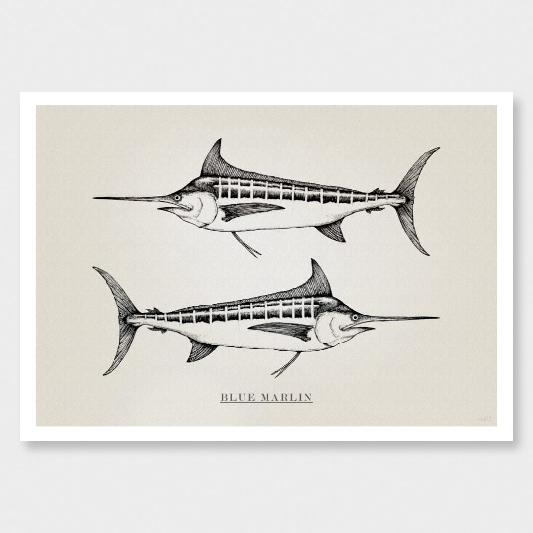 Blue Marlin Art Print by Nathan Miller