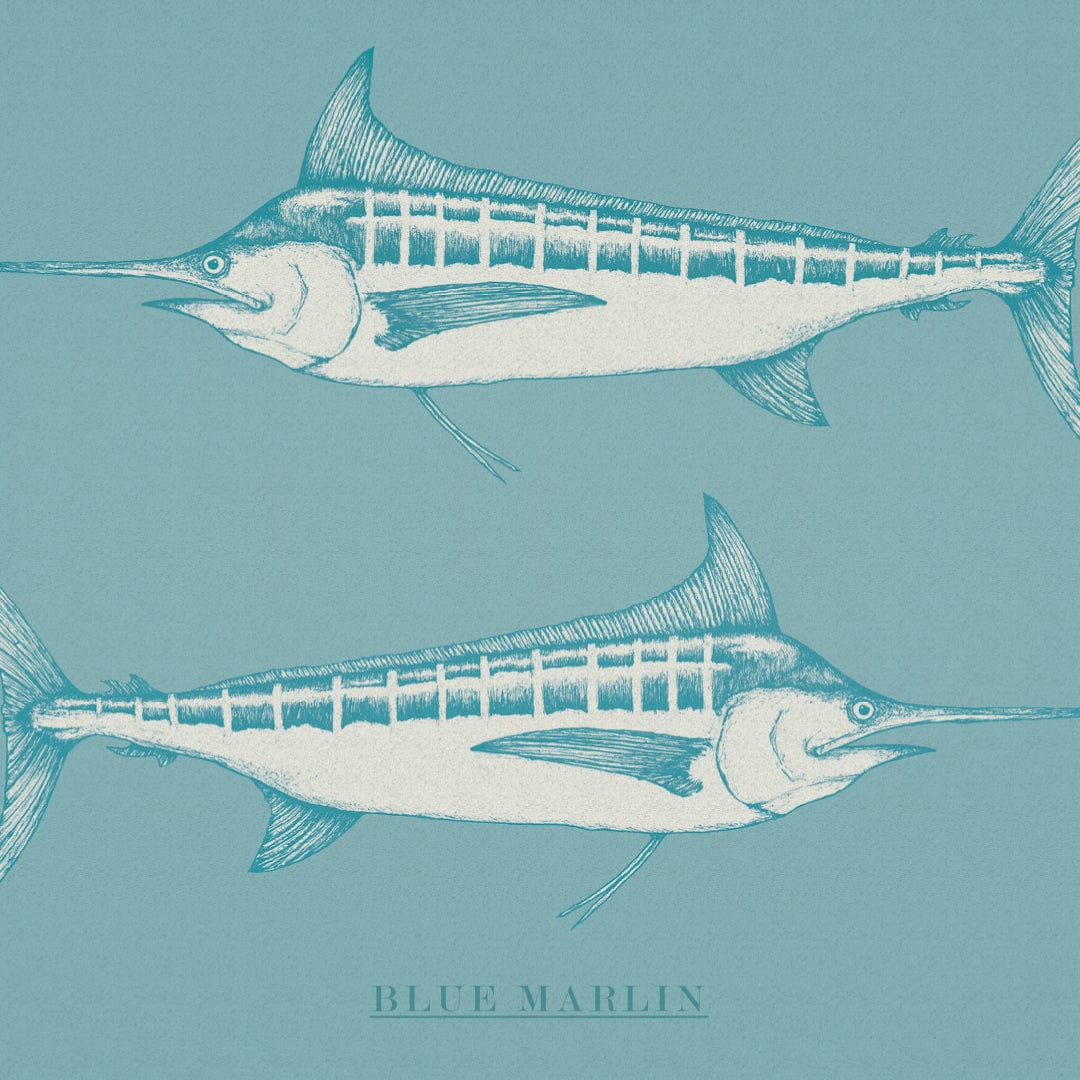 Blue Marlin Turquoise Art Print by Nathan Miller