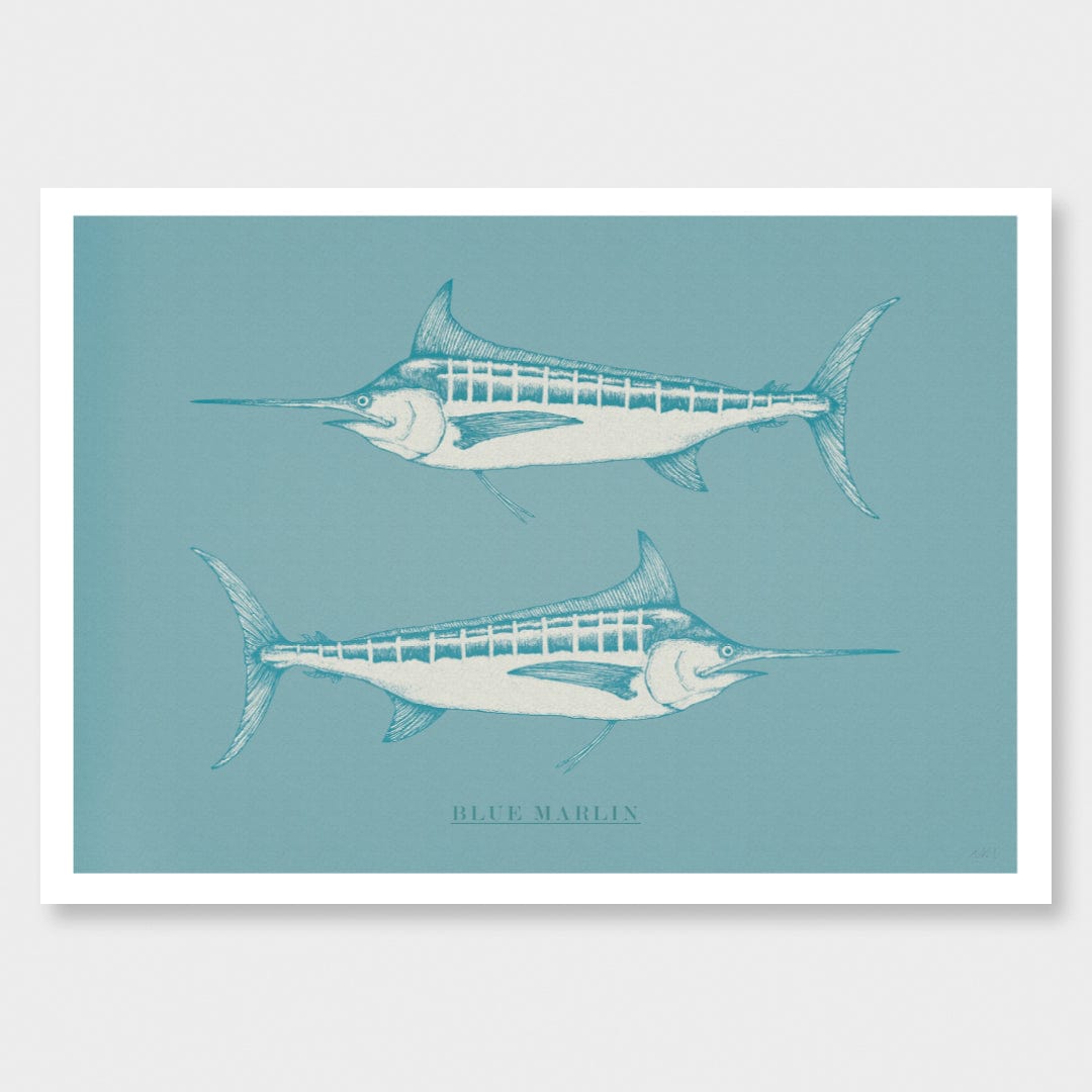 Blue Marlin Turquoise Art Print by Nathan Miller