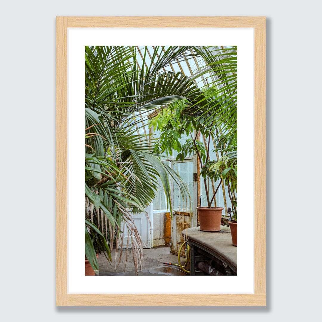 Botanical Photographic Print by Amy Wybrow