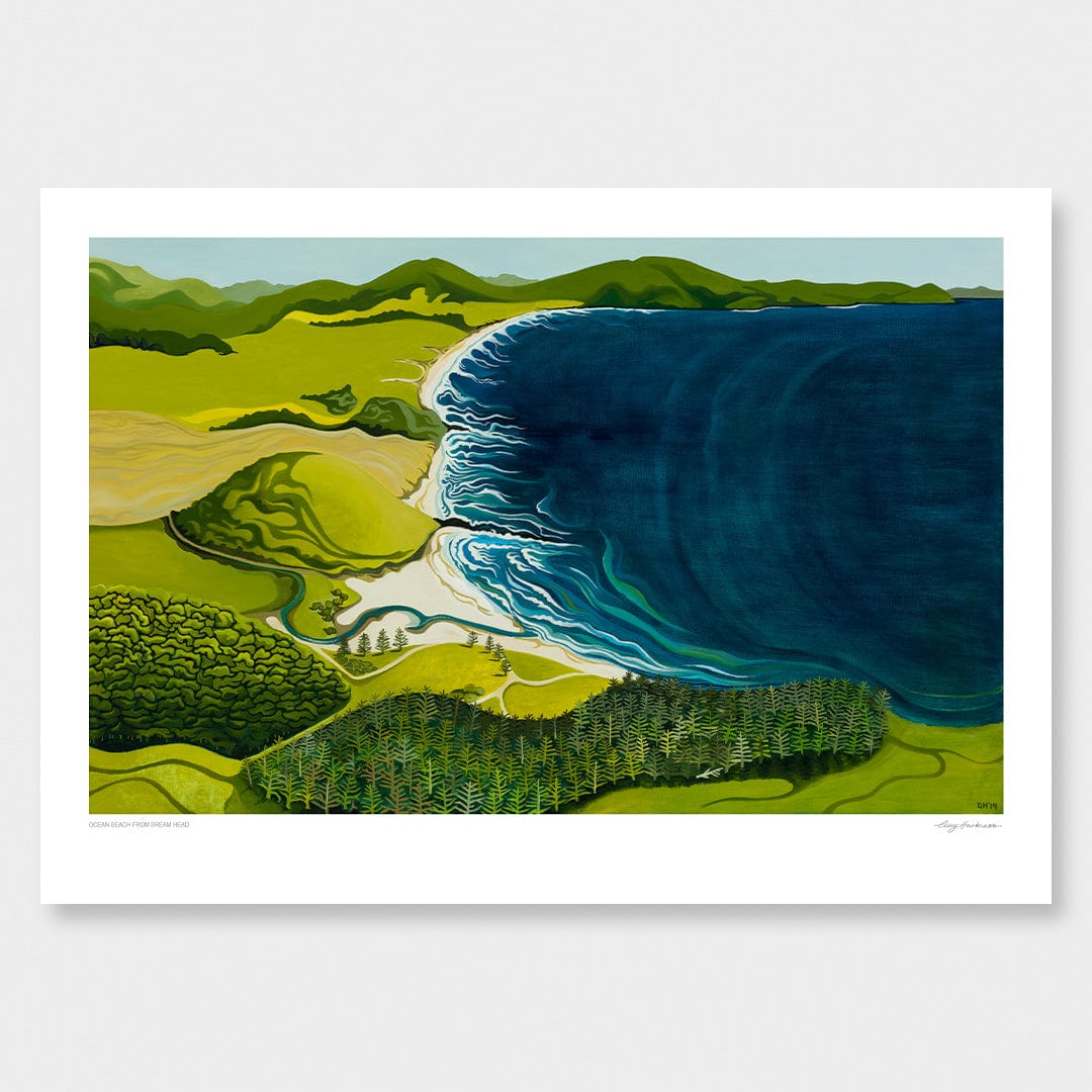 Ocean Beach from Bream Head Art Print by Guy Harkness