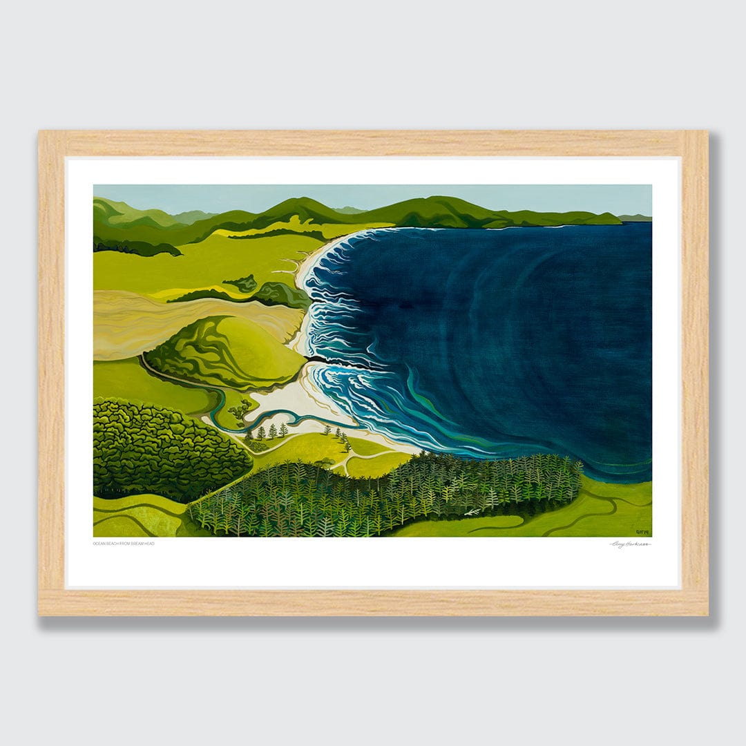 Ocean Beach from Bream Head Art Print by Guy Harkness