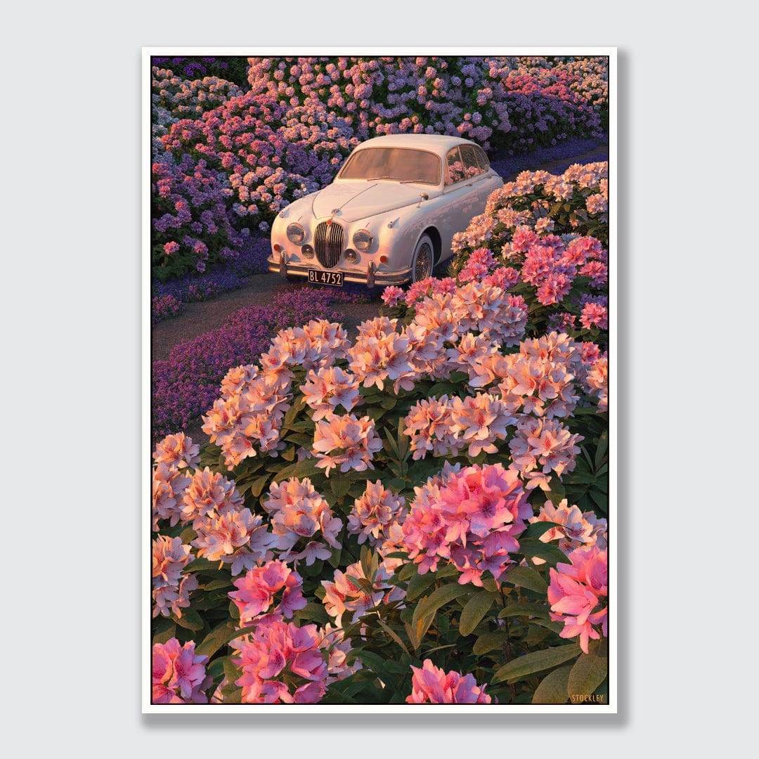 Rhododendron Drive Limited Edition Canvas Print by Simon Stockley